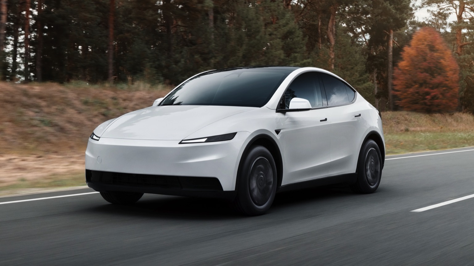 Tesla Model Y Standard RWD (10-2025)