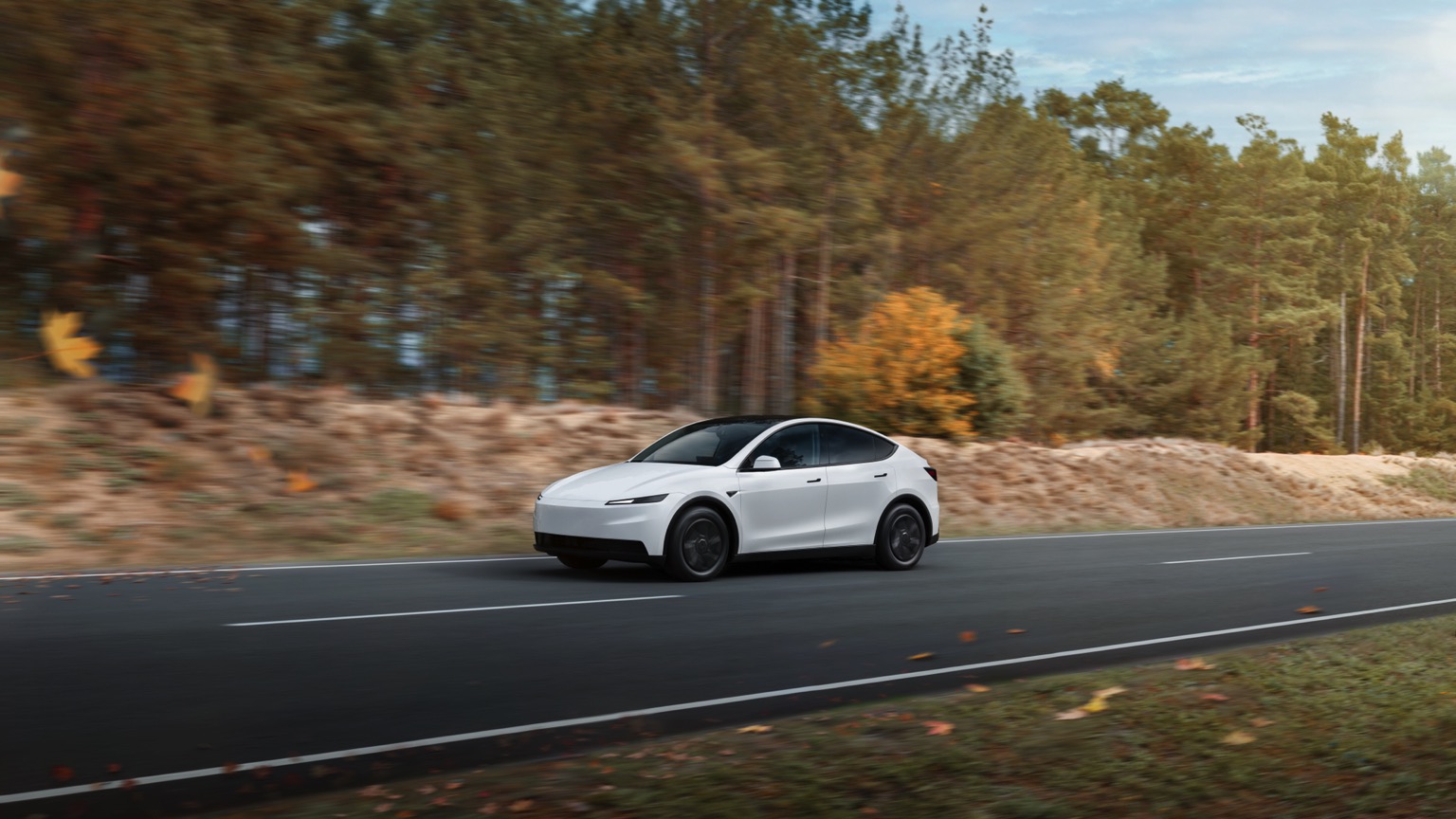 Tesla Model Y Standard RWD (10-2025) gallery image