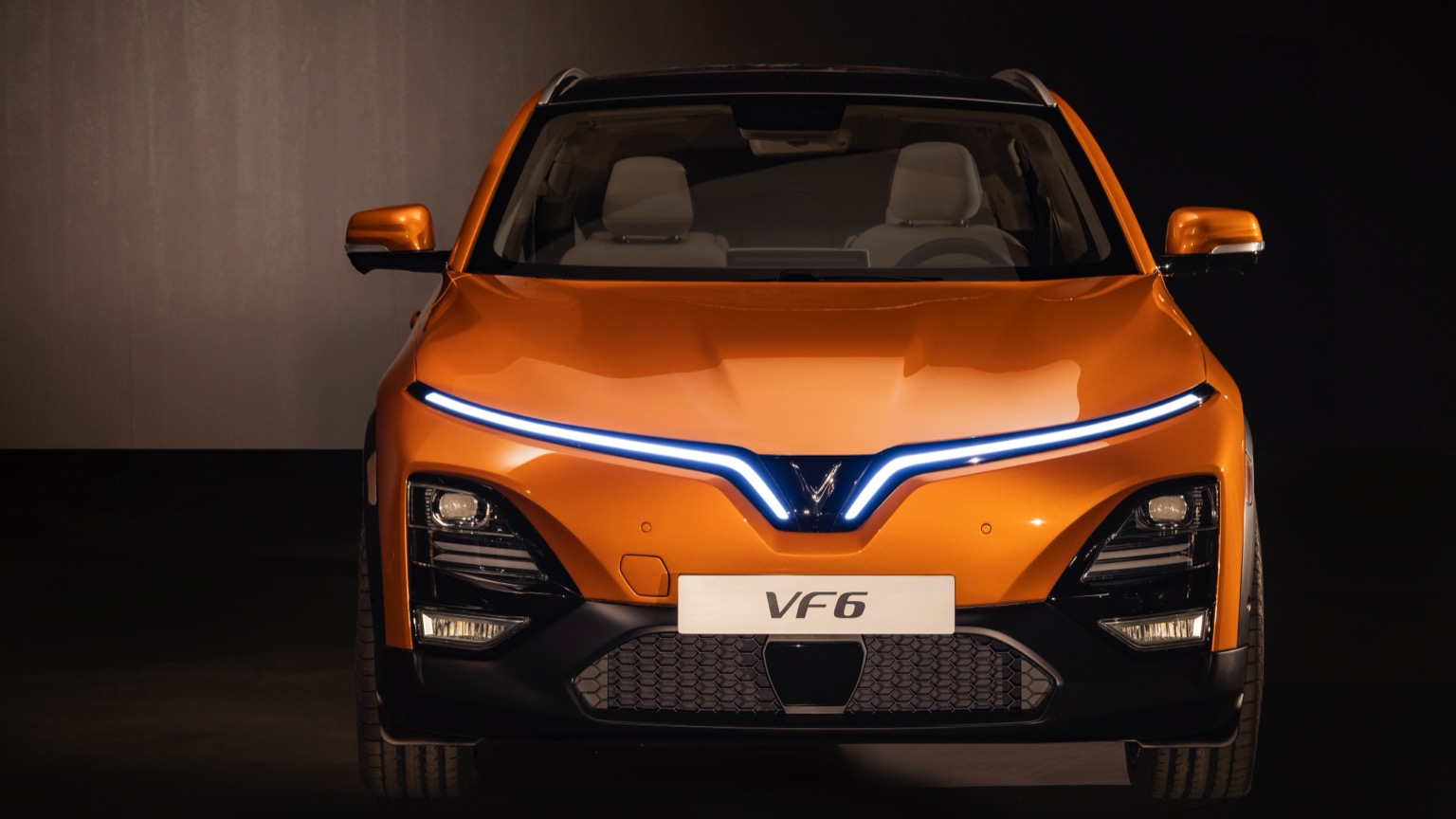 VinFast VF 6 Eco (03-2025) gallery image